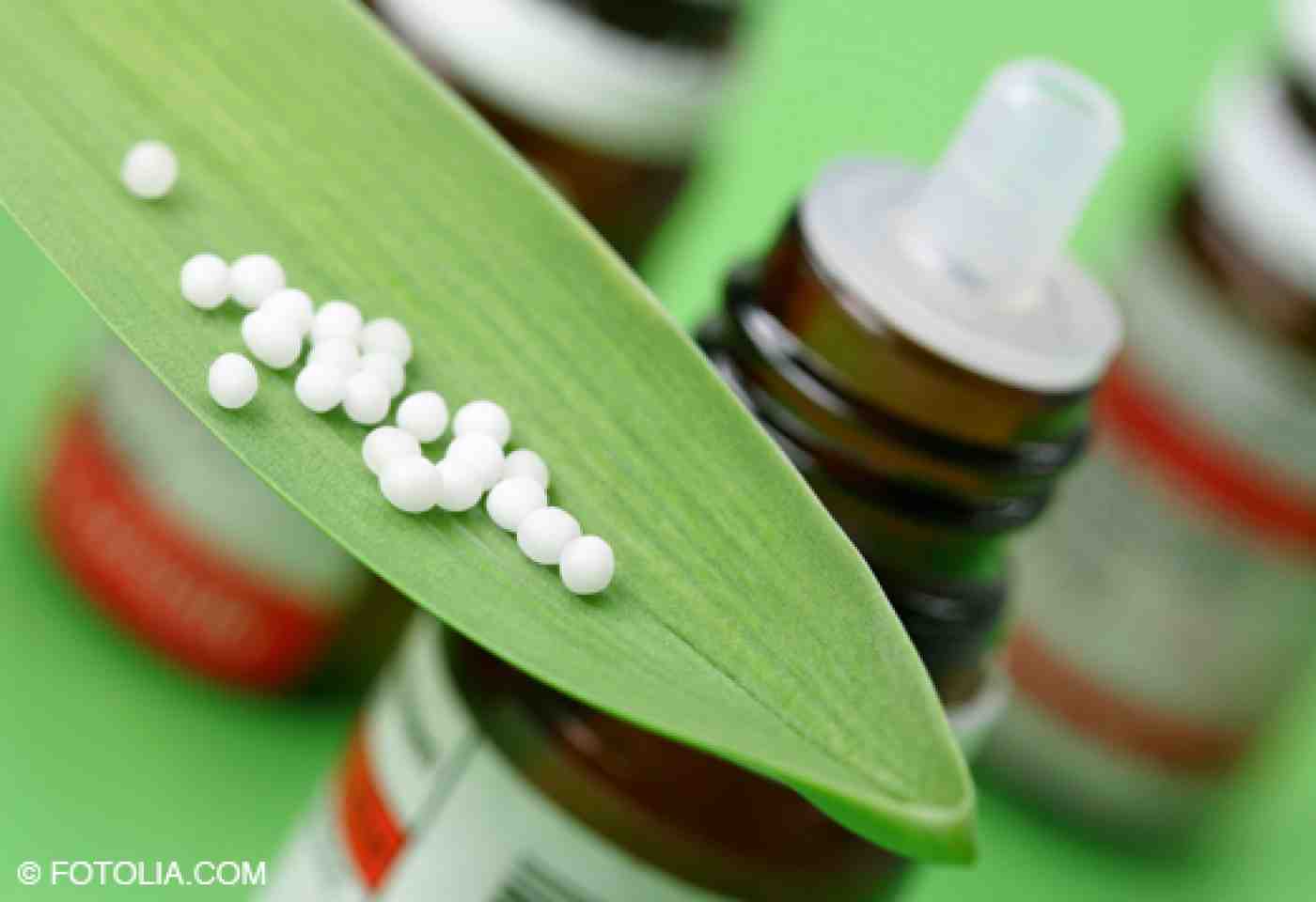 Pourquoi ne pas prendre de menthe avec Homeopathie ?