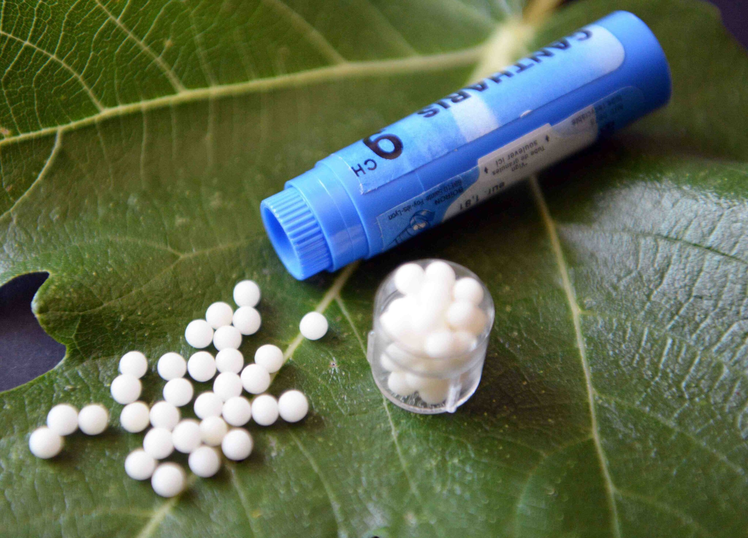 Comment prendre plusieurs granulés Homeopathie ?